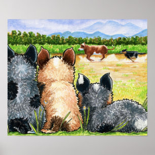 Pôster Primeira lição por Andie