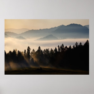 Pôster Primeira Luz