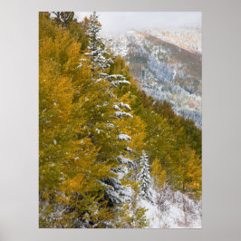 Poster Primeira neve