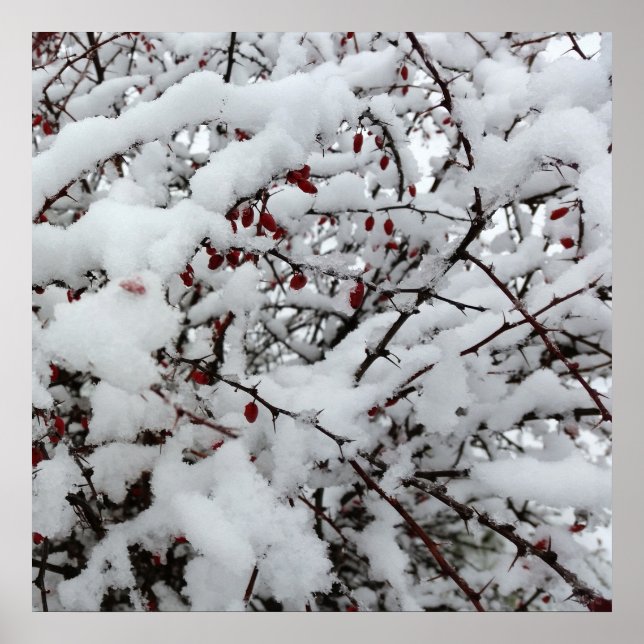 Poster primeira neve (Frente)