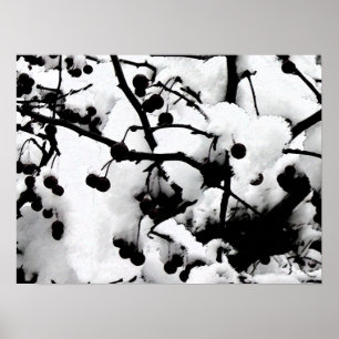 Poster Primeira neve