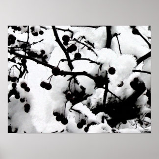 Poster Primeira neve