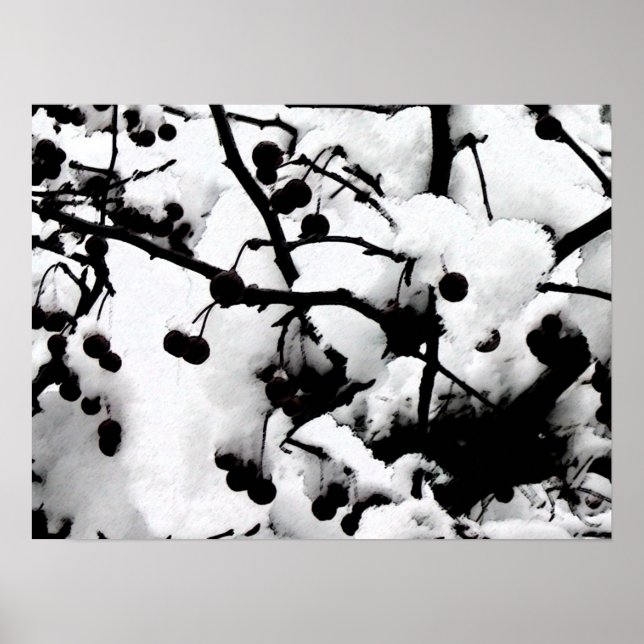 Poster Primeira neve (Frente)