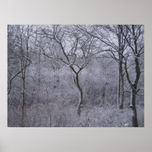 Poster Primeira queda de neve do norte do estado em New