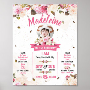 Poster Primeiro Aniversário Para Menina