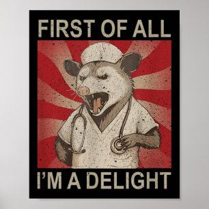 Poster Primeiro De Tudo Sou Uma Enfermeira Raccoon Deligh