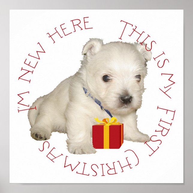 Poster Primeiro Natal do Cachorrinho Westie (Frente)