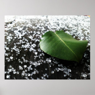 Poster Primeiro tempo do inverno