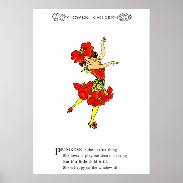 Poster Primrose (Frente)