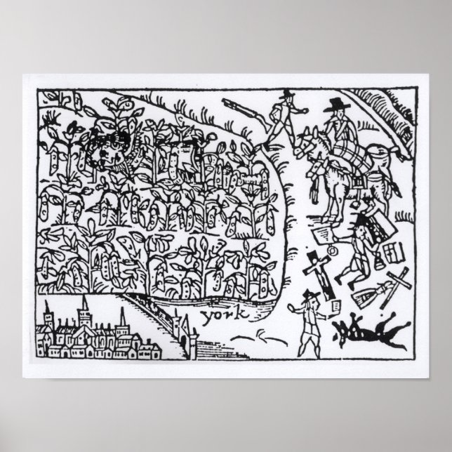 Poster Prince Rupert esconde-se em um bean (Frente)