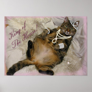 POSTER PRINCESA ESTRAGADA CAT LAYING PARA TRÁS