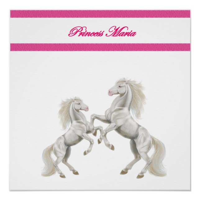 Pôster Princesa Maria Poster (Frente)