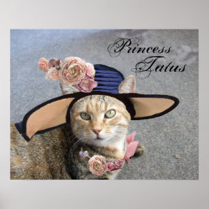 PÔSTER PRINCESA TATUS /GATA ELEGANTE,GRANDE CHAPÉU DE DIV