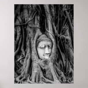 Poster principal Tailândia de Buddha preto e