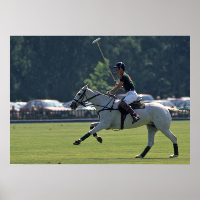 Poster Príncipe Charles Jogando Polo em Windsor (Frente)