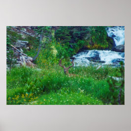 Poster Príncipe da Floresta