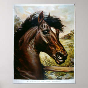 Pôster Príncipe do Sangue