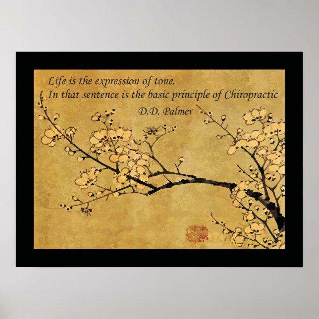Pôster Princípio da Citação da Saúde Quiroprática (Frente)