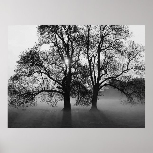 Poster PRINT - 2 Big Trees Black & White (Frente)