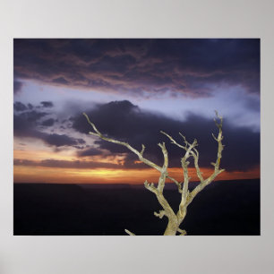 Poster Print - Grand Canyon Sunset