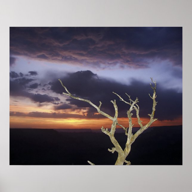 Poster Print - Grand Canyon Sunset (Frente)