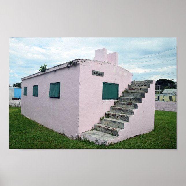 Poster Prisão cor-de-rosa das Bahamas, Tartaruga Verde (Frente)