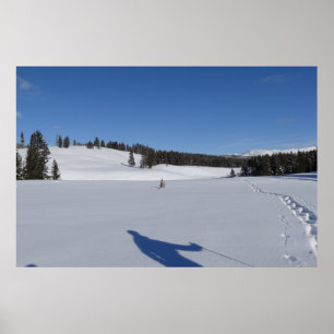 Poster Prisão de neve no Parque Nacional de Yellowstone