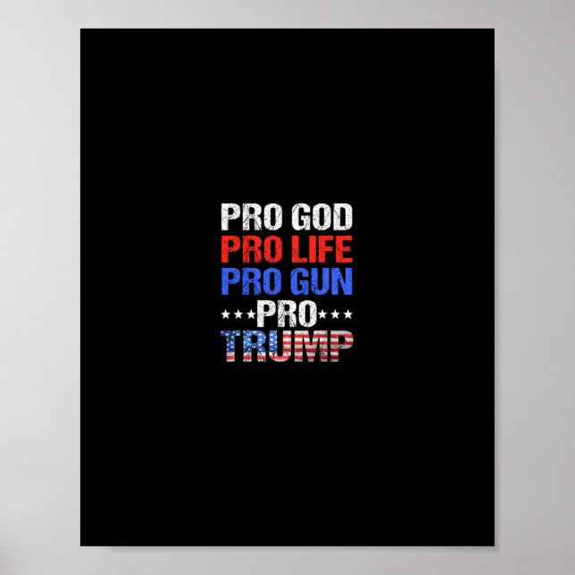 Poster Pró Deus Pró Vida Pró Arma Pró Trump - Verdade Pat (Frente)
