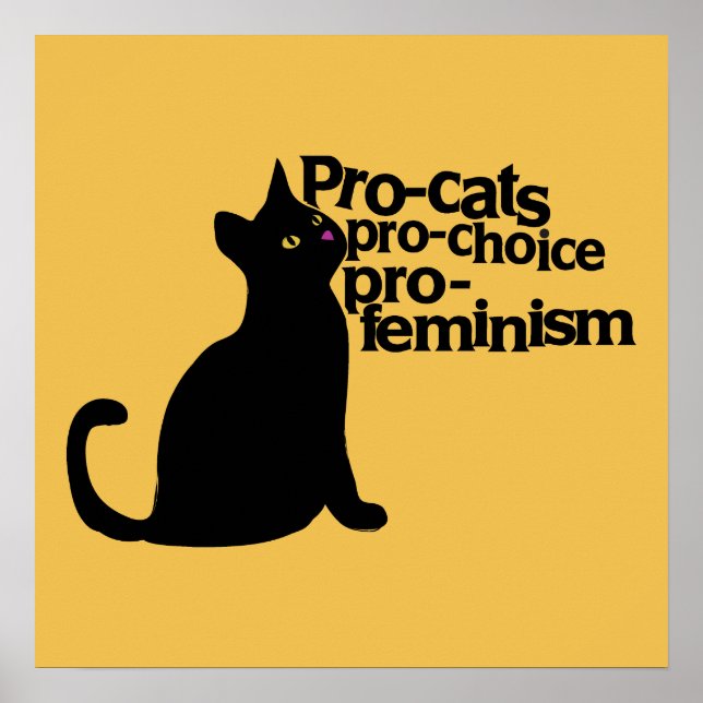 Pôster pró-feminismo pró-gatos (Frente)