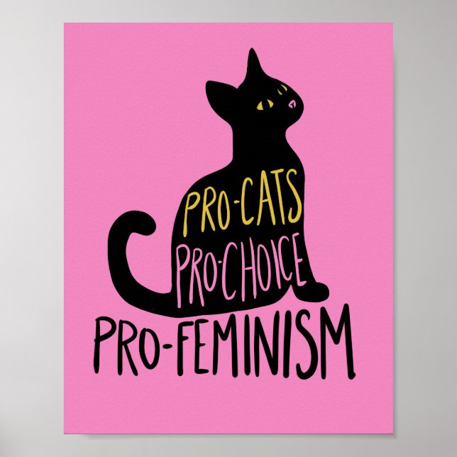 Poster Pró-gatos Pro-Choice pró-feminismo (Frente)