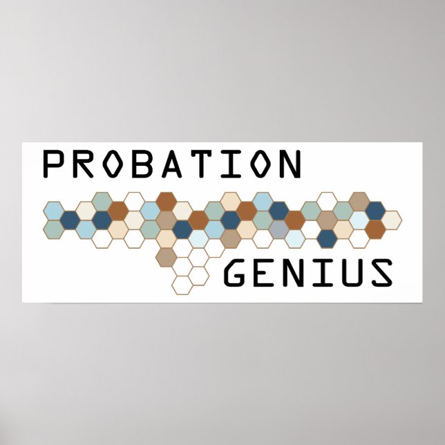 Pôster Probation Genius (Frente)