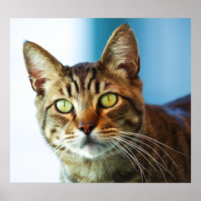 Pôster Problema (Frente)