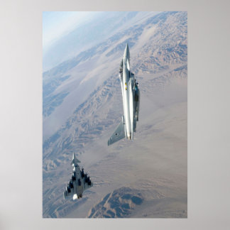 Pôster Problemas duplos