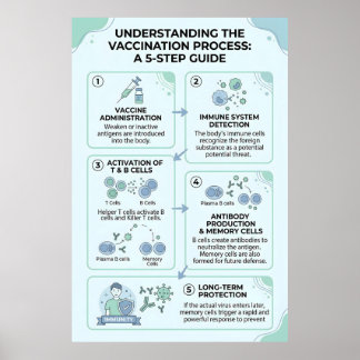 Poster Processo de Vacinação Explicado: Uma Imunidade em 