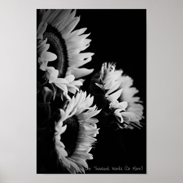 Poster Procurando (Frente)