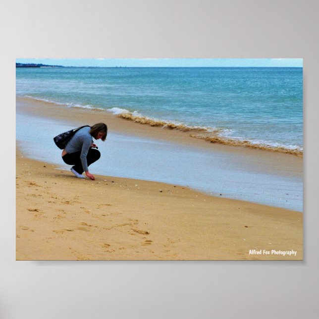 Poster Procurando a Concha Perfeita (Frente)