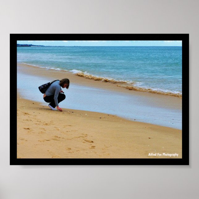 Poster Procurando a Concha Perfeita (Frente)