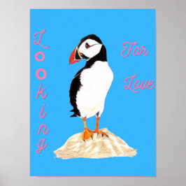 Poster Procurando algum amor Puffin