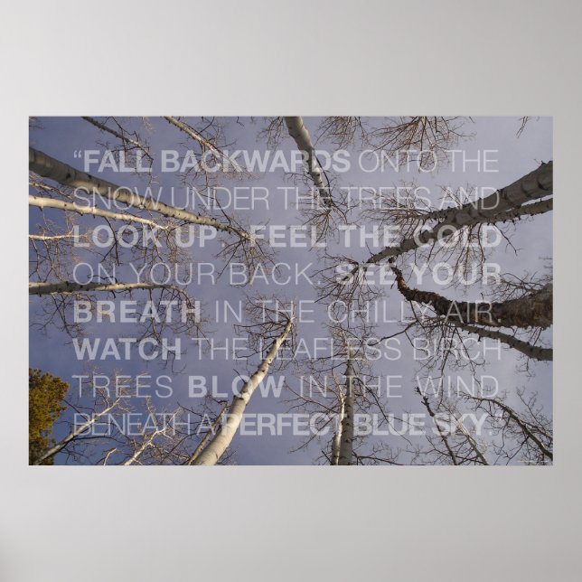 Pôster Procurar (Frente)