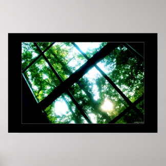 Pôster procurar a liberdade