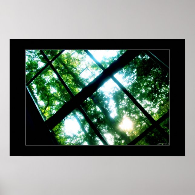 Pôster procurar a liberdade (Frente)