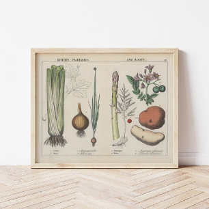 Poster Produtos hortícolas de cozinha   Charlotte Mary Yo