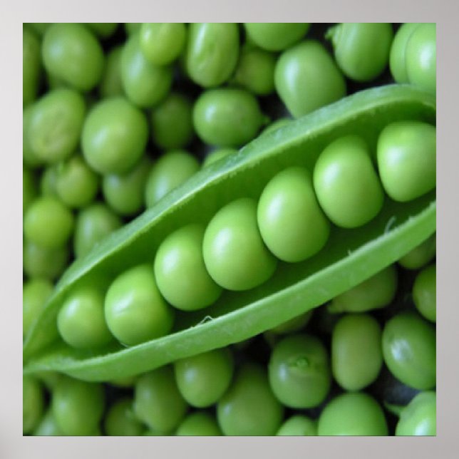 Poster PRODUTOS HORTÍCOLAS frutas (Frente)