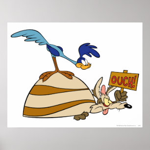 Poster Produtos Wile E Coyote e ROAD RUNNER™ Acme 5