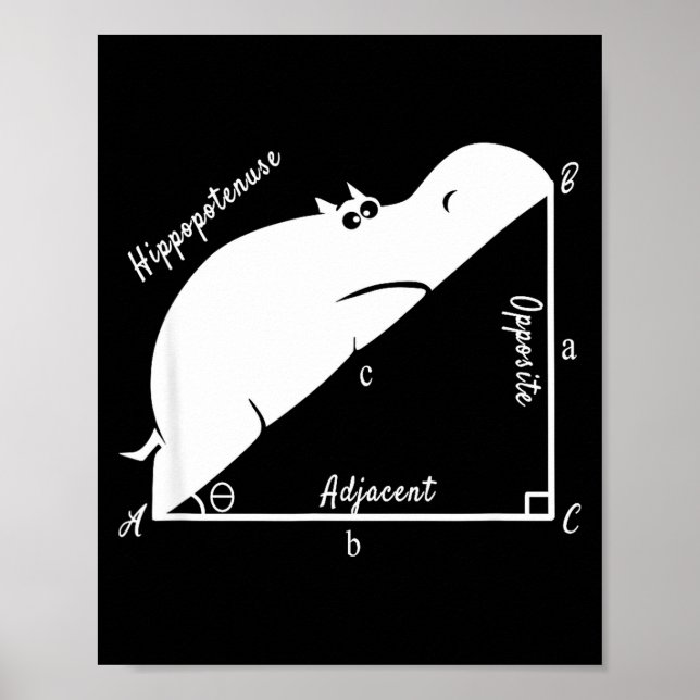 Poster Professor de Matemática Engraçado, Hiptenuse Engra (Frente)