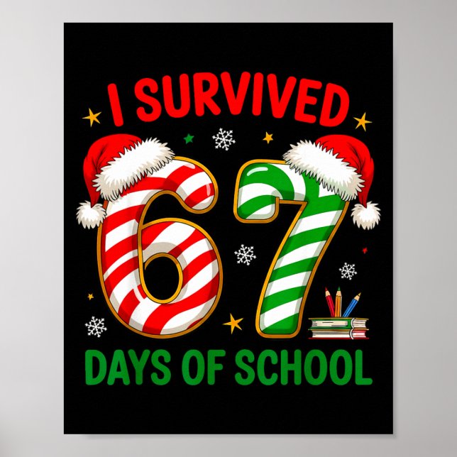 Poster Professor Natal Meme Engraçado Eu Sobrevivi 67 Dia (Frente)