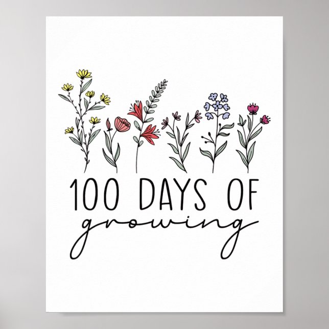 Poster Professora: 100 Dias De Celebração De 100 Dias T (Frente)