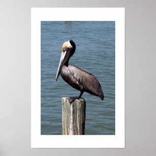 Pôster Profundamente no pensamento