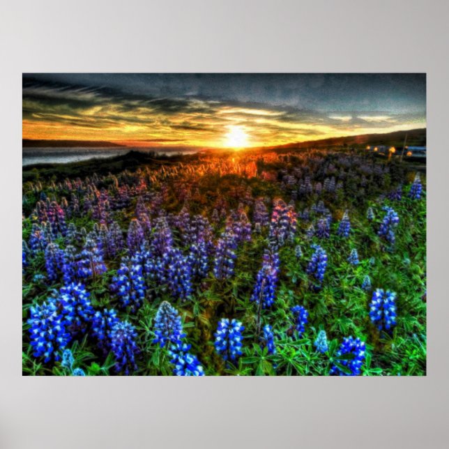 Pôster Profundidade 58 (Frente)