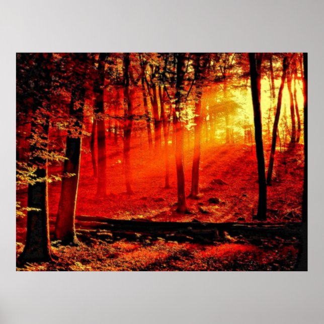 Poster Profundidade 59 (Frente)